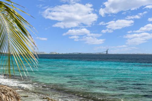 59-eeg-boulevard-227-grace-media-bonaire_28_large