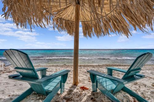 59-eeg-boulevard-227-grace-media-bonaire_56_large